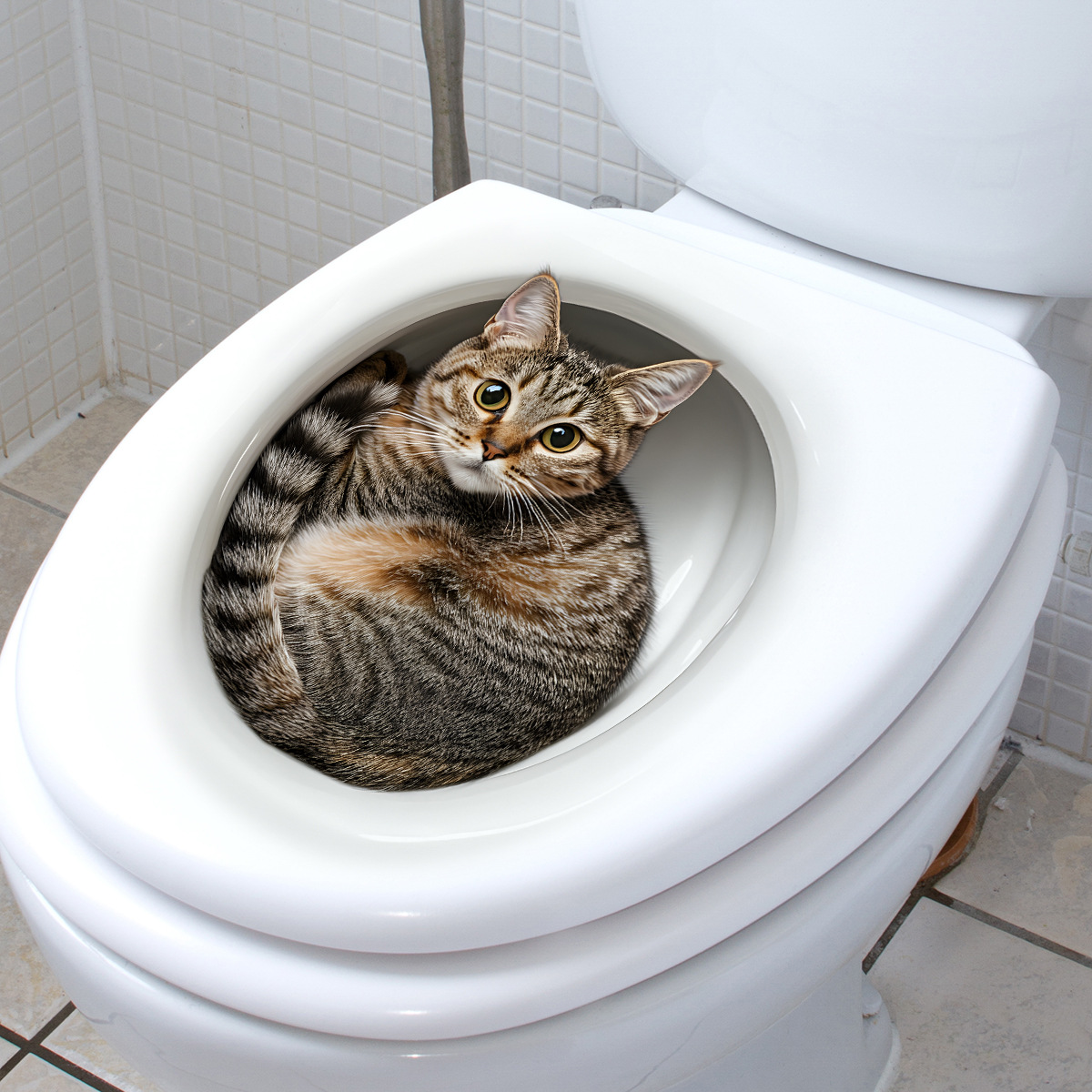 สติกเกอร์ห้องน้ำลายแมวตลก 3 มิ - Home Center Bathroom Accessories บทวิจารณ์และราคา